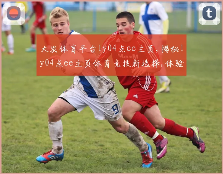 大发体育平台ly04点ee主页,揭秘ly04点ee主页体育竞技新选择,体验非凡刺激