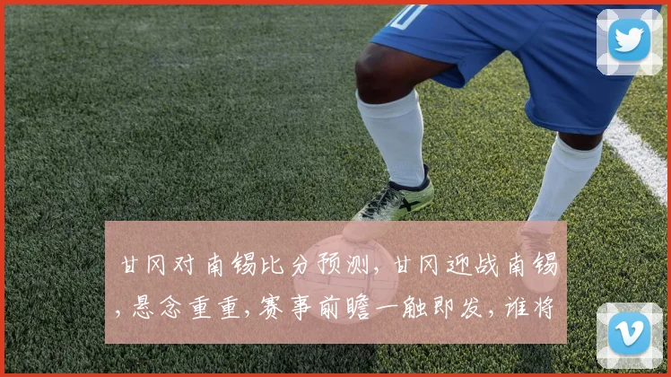 甘冈对南锡比分预测,甘冈迎战南锡,悬念重重,赛事前瞻一触即发,谁将问鼎