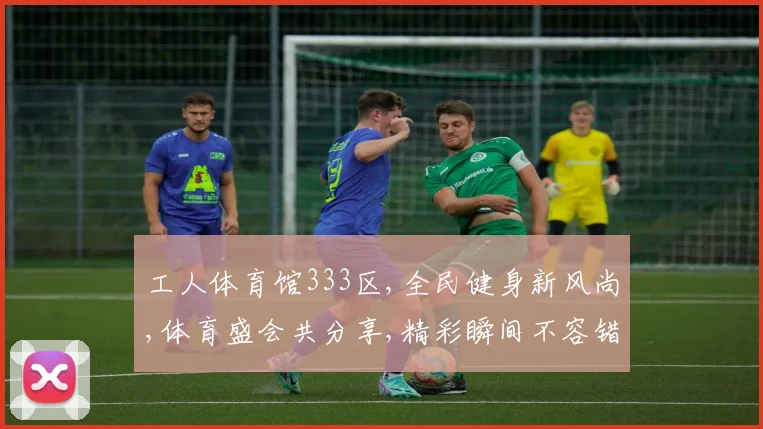 工人体育馆333区,全民健身新风尚,体育盛会共分享,精彩瞬间不容错过,共享运动乐趣