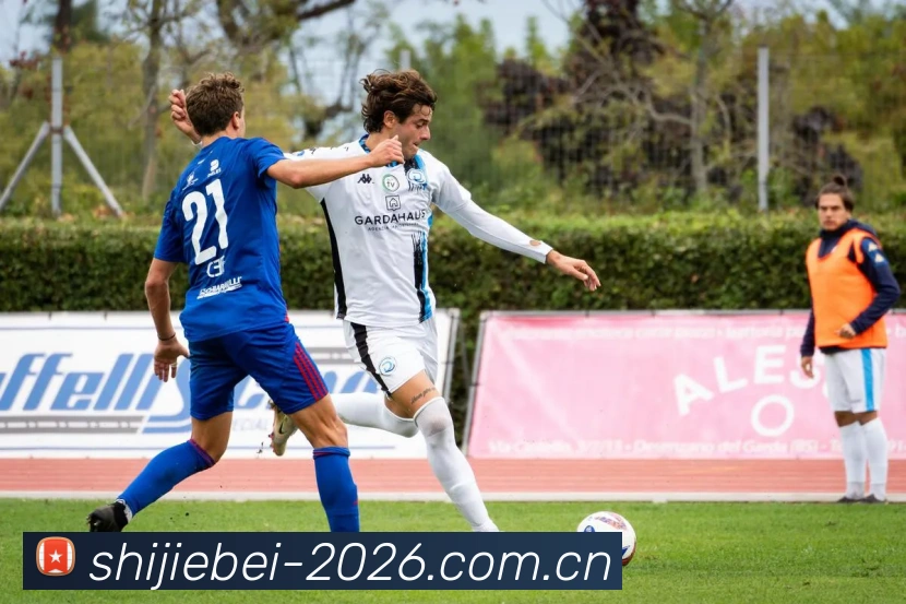 世界杯2026 - 最新平台资讯与热门内容推荐平台生态图